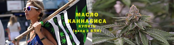 spice Богородск