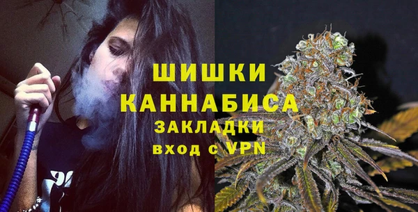 spice Богородск