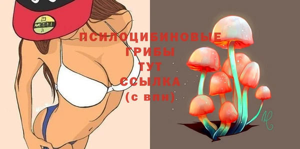 гидропоника Богданович
