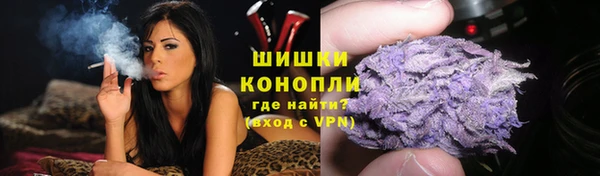 spice Богородск