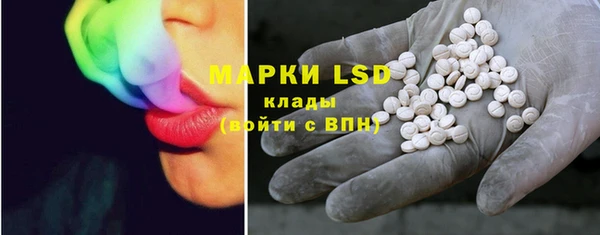 spice Богородск