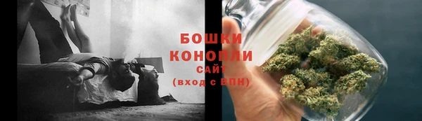 гидропоника Богданович