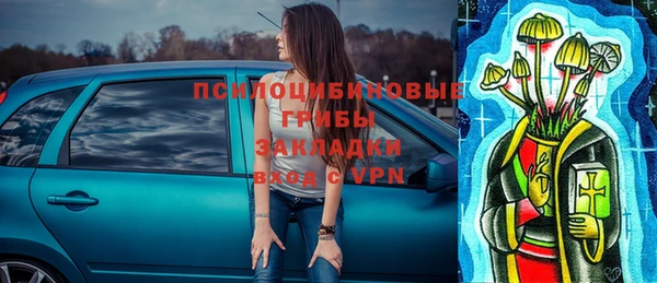 гидропоника Богданович