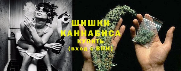 гидропоника Богданович