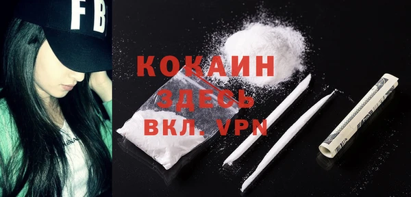spice Богородск