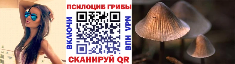 Псилоцибиновые грибы мицелий  Ярославль 